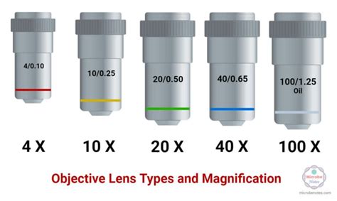 Objective Lenses: Types, Parts, Magnification, Uses, Care.